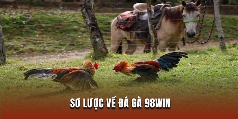 Giải mã chi tiết đá gà 98Win là gì