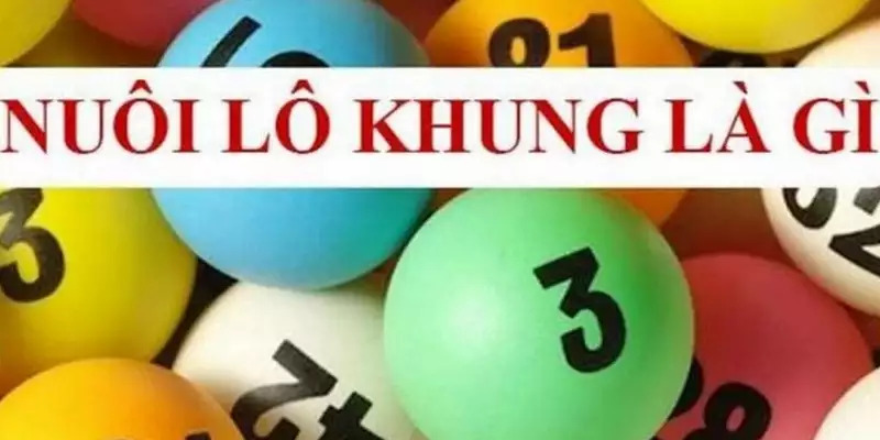 Khái niệm cơ bản về nuôi lô khung chuẩn xác nhất