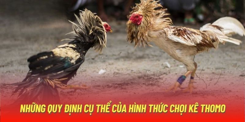 Thời gian thi đấu nhanh giúp bạn tham gia được nhiều